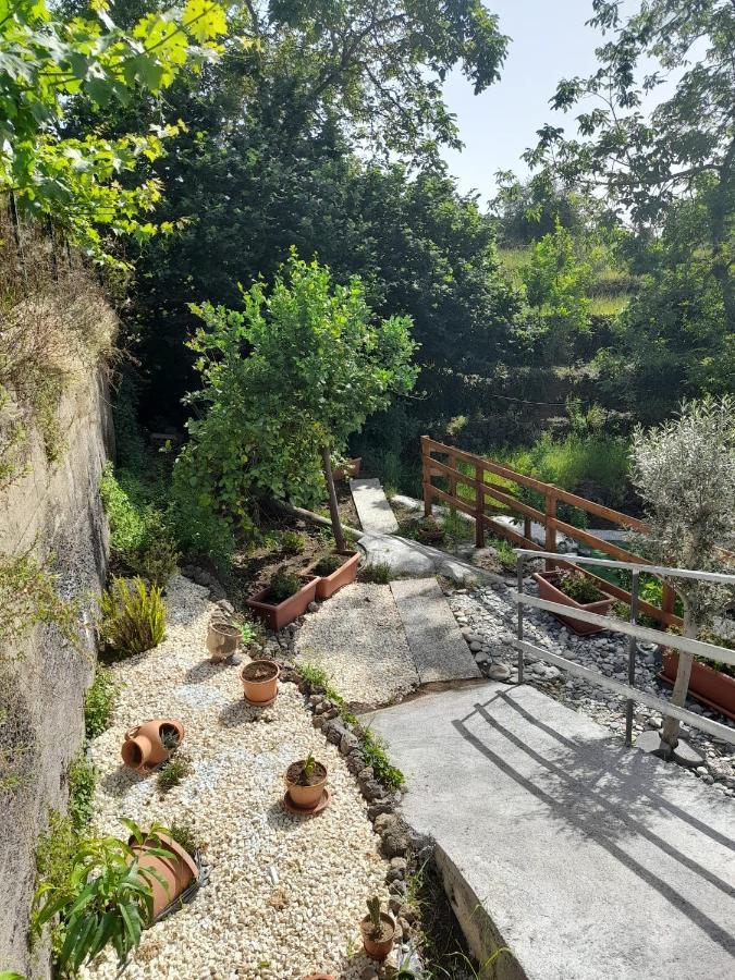 Sikelia Etna House Villa Zafferana Etnea Exterior photo